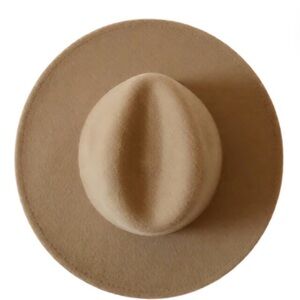 Stylish Tan Felt Hat